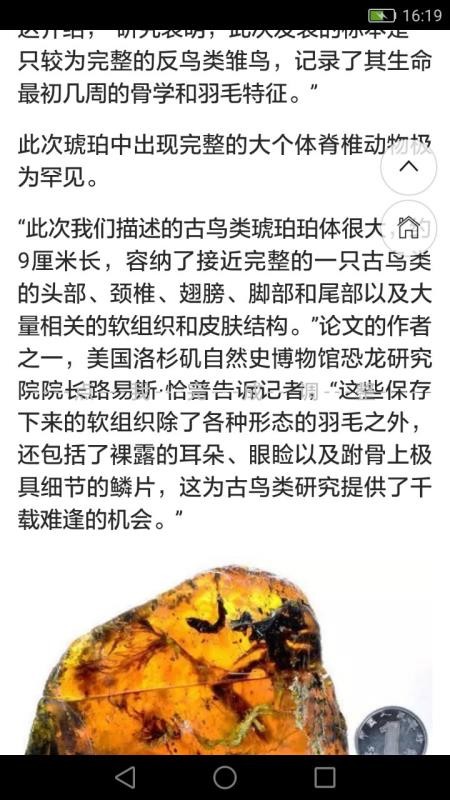 长图拼拼 2020-06-14 13:07