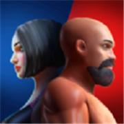 真正的综合格斗