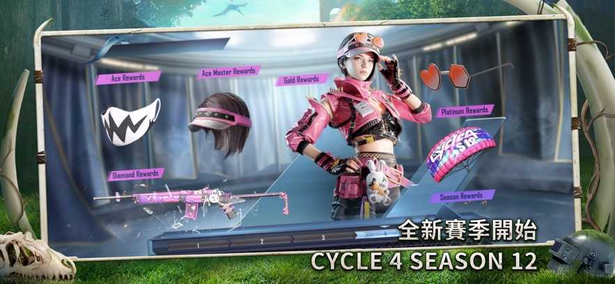 PUBG MOBILE 官网版 v3.0.5