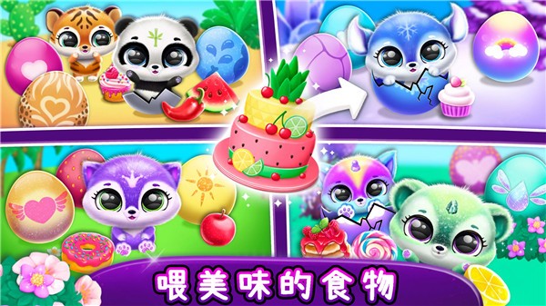 梦幻宠物屋  v1.0