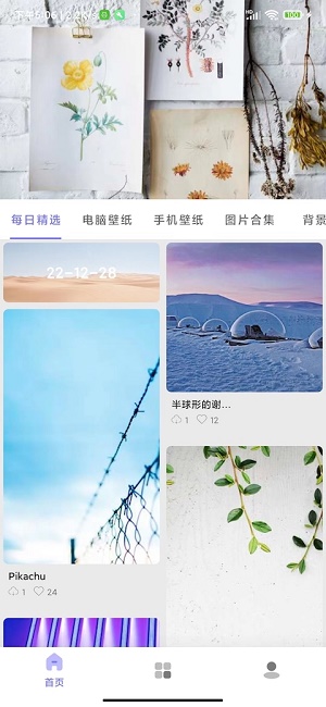 派派壁纸 v8