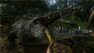 荒岛生存之旅 2020-11-04 10:40