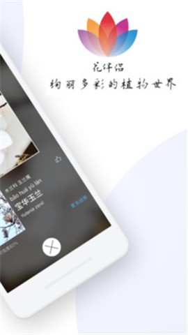 花伴侣 2020-03-11 14:39