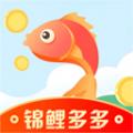 锦鲤多多APP手机版 