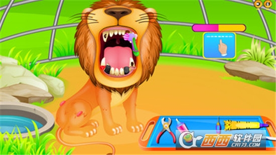 兽医巡诊 兽医巡诊