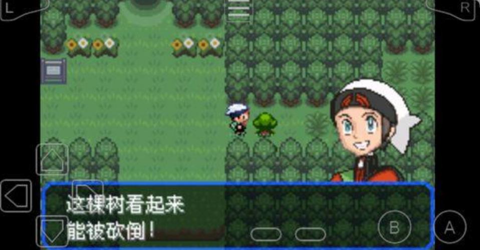 究极绿宝石之黎明的送葬金手指汉化最新版图片1