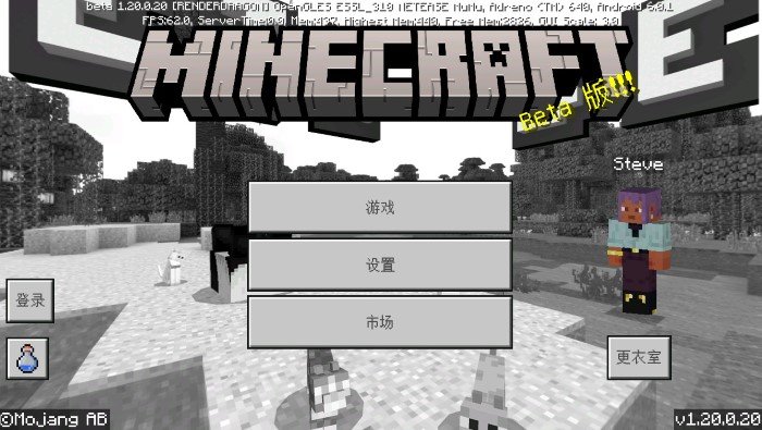我的世界国际服 v1.19