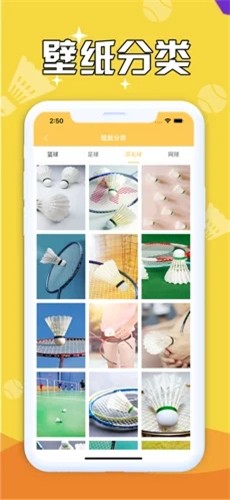 球库壁纸  V 1.0
