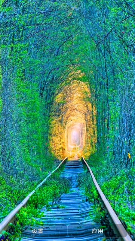 爱动态壁纸截图1