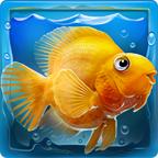 iQuarium(怪怪水族馆安卓完美移植版)
