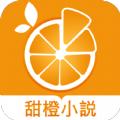 甜橙小说