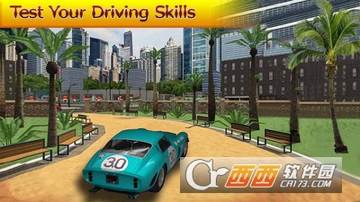 汽车停车3D模拟器 v1.0