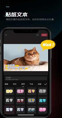 剪映蚂蚁呀嘿特效 4.4