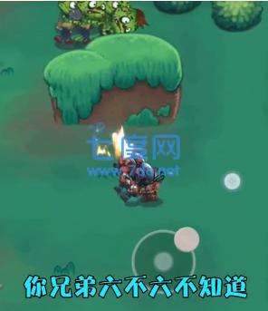 我兄弟贼六
