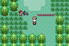 口袋妖怪增强绿宝石最终汉化版  v1.7.9