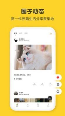 尖叫猫 v3.0.0