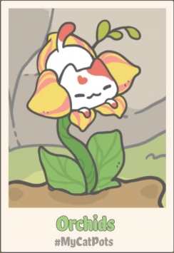 我的小猫花.jpg 我的小猫花.jpg