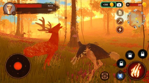 鸵鸟模拟器游戏官方安卓版  v3.0.3