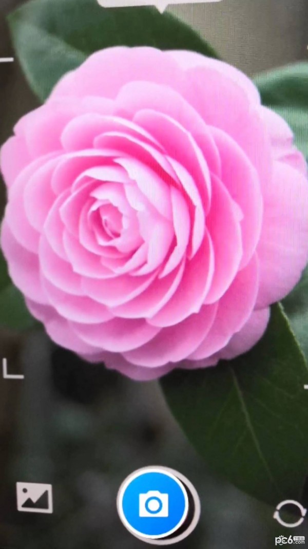 智能花卉识别 v1.0.0