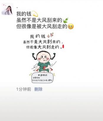我的钱虽然不是大风刮来的但是大风刮走的图片表情包.jpg