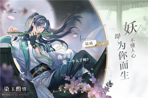 猫之宿约者无限钻石