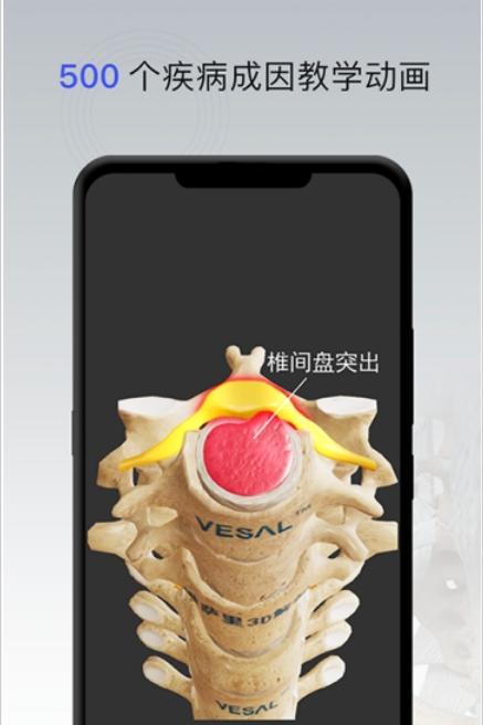 骨科专家