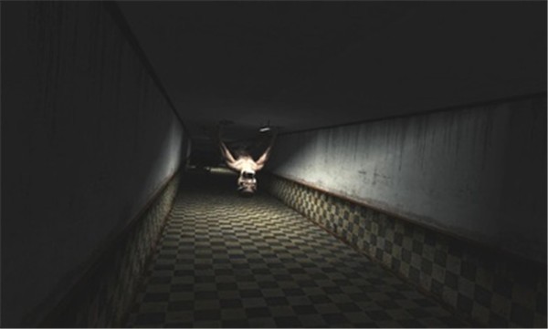 恐怖迷宫联机版  v0.76b