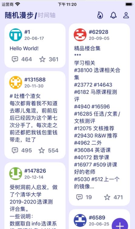T大树洞.jpg