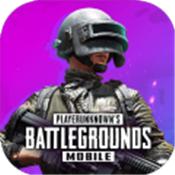 绝地求生刺激战场亚服