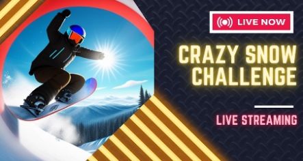 疯狂的雪地挑战安卓手机版  v3.3.2