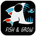 feedandgrowfish手机版