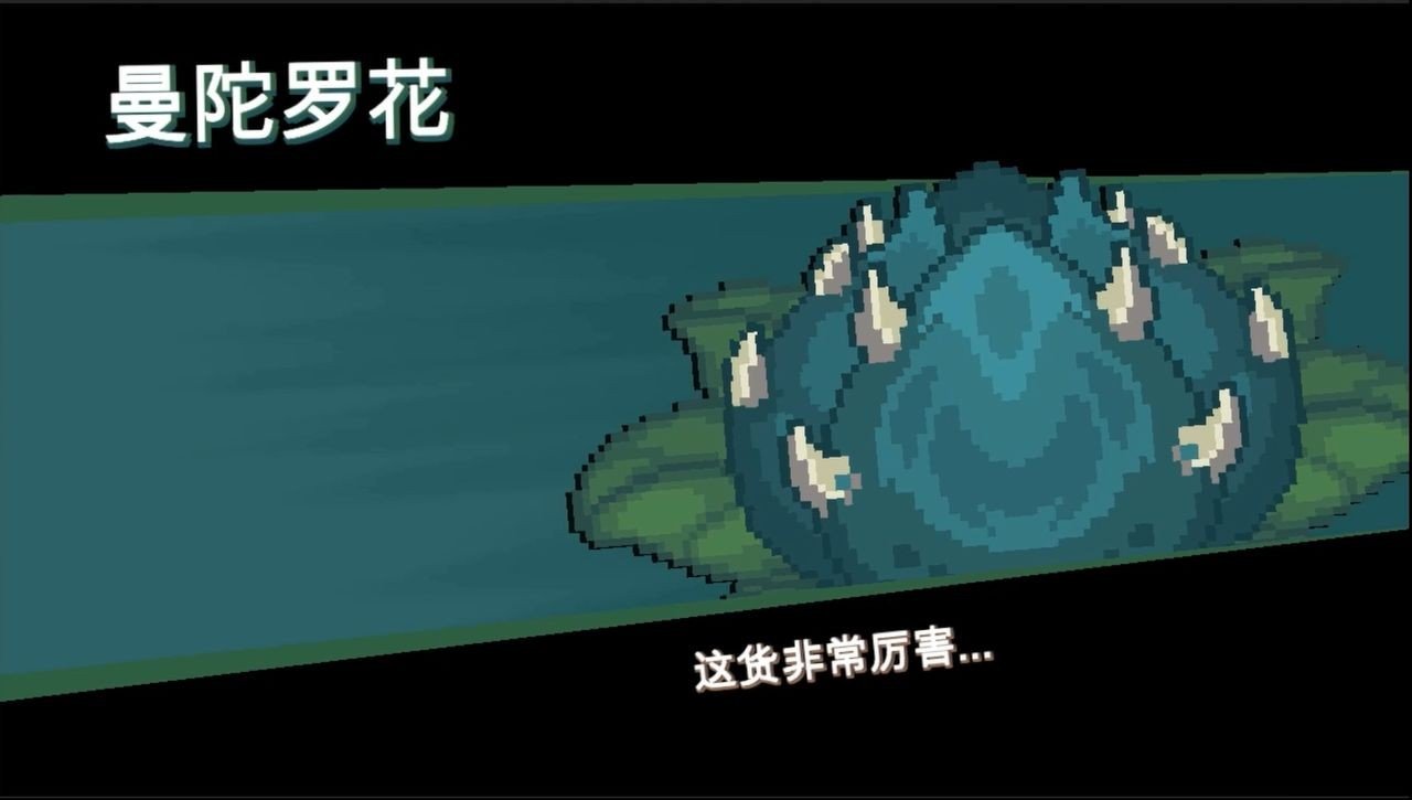 凉屋元气骑士新作测试版 v3.2.2