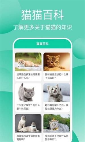 猫猫交流工具  v3.3.4