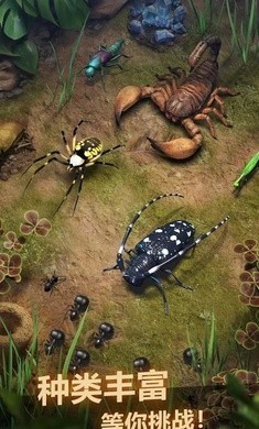 蚂蚁地下王国1.10.0下载手机版官方最新版图片1