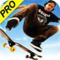 skate3滑板3中文汉化版下载 
