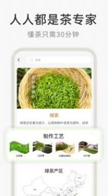 茶秘书 v1.0.0
