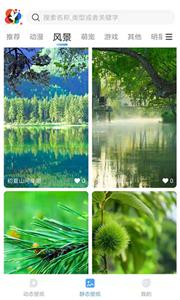 小鸟壁纸  v2.1.7