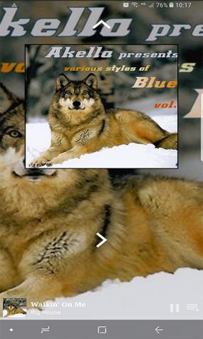 83dde41a92818691f5e2df09e263002c.jpg