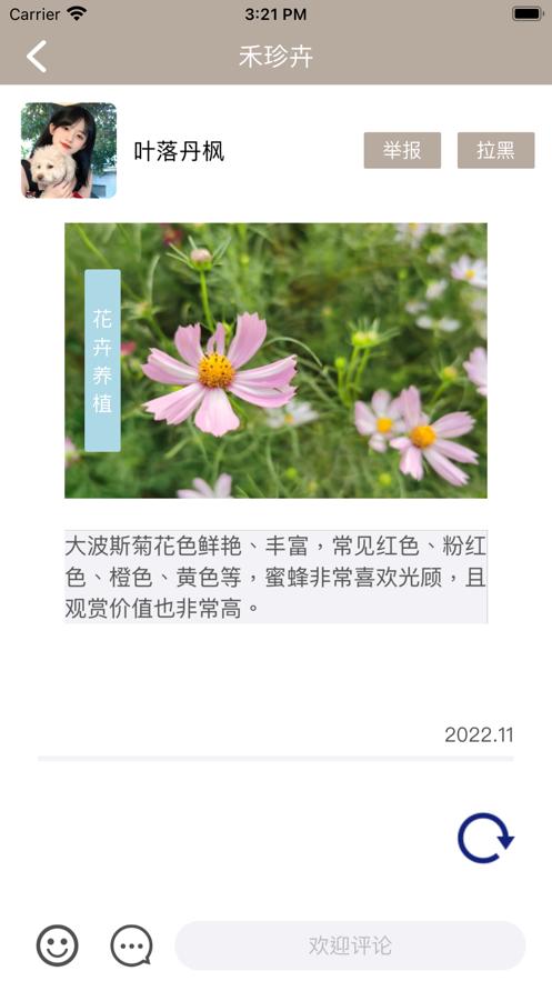 禾小禾珍卉  V 1.0