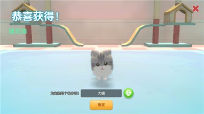 养了个猫  vT.0.14.50(21081