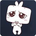 jocy ty