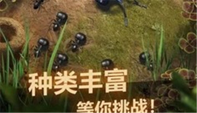 蚂蚁地下王国汉化版