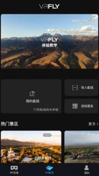 VRflyPro v3.0.5