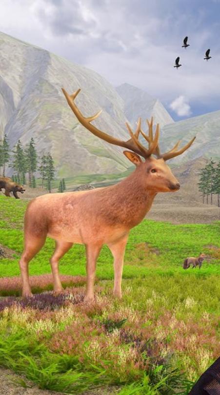 野鹿狩猎模拟器 2024-06-25 15:08