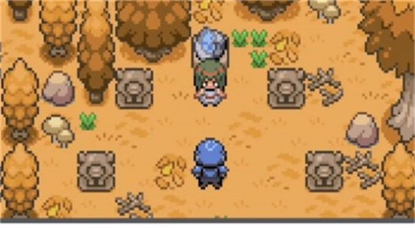 精灵宝可梦登峰造极  v_