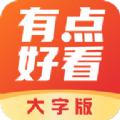 有点好看大字版