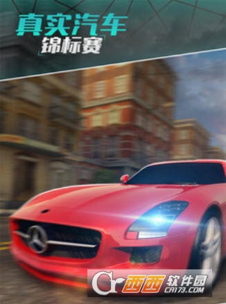 真实汽车锦标赛