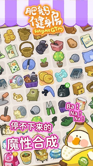 肥鹅健身房 v2.3.4