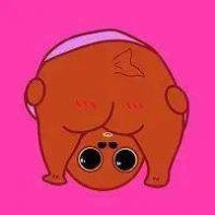 绿鱼头打奥特曼表情包图片 v1.0