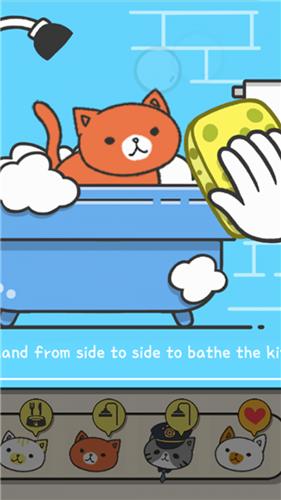 小猫咪之家 2024-06-25 15:08